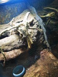 点击看大图 -酷嗒动物文化乐园(cutezoo西溪乐天城店)