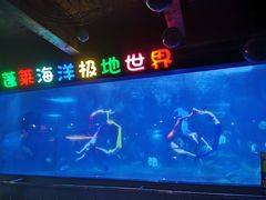 -蓬莱欧乐堡海洋极地世界