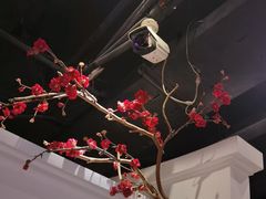 -春天来了(印象新天地店)