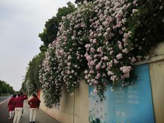 -荣昌花园