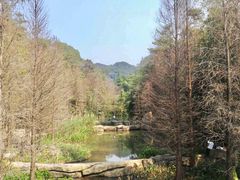 -云溪植物园