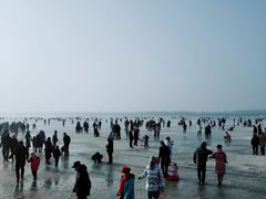 -丁香湖公园