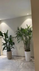 -七色田儿童摄影(静安店)