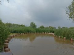 -绿堤公园
