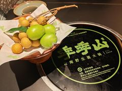 -季季山·云南野生菌火锅(上海首店)