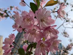 -常熟路(地铁站)