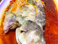-津沽小院(天津之眼店)
