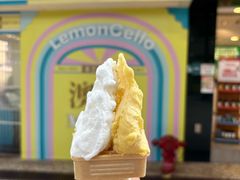 -柠檬车露(卖草地店)