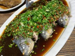 -老号尤兔头(玉堂店)