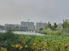 -江阴敔山湖公园
