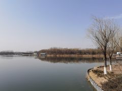 -大兴滨河森林公园