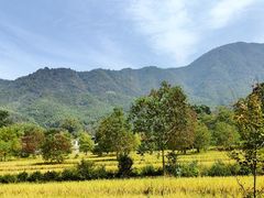 -塔川景区