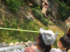 -自然谷恐龙园