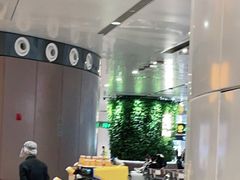 -麦当劳(北京大兴机场二层国内到达(安检外)店)