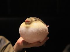 -永安鱼庄·镇江菜(东吴路店)