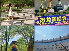-中国西峡恐龙遗迹园