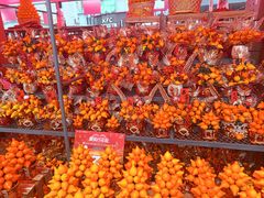 -越秀西湖花市(广州城市广场花卉店)