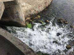-黄河小浪底水利枢纽风景区