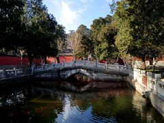 -小吊梨汤·北京菜(香山店)