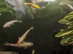 -广州花园酒店