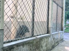 -青峰峡国家森林公园