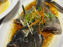 -悦林汤馆(观海店)