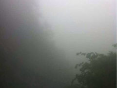 iphone_upload_pic-大明山自然探索公园