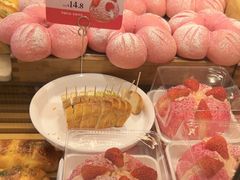 -天力卡拉优动物奶油生日蛋糕(鼓楼店)