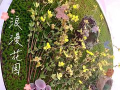 -贝美蓝天幼儿园(河东直沽园)