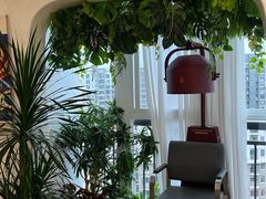 -瑶舍头疗·瑶浴·芳香热石SPA(五洲国际店)