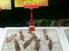 -蚝专家(北滘店)