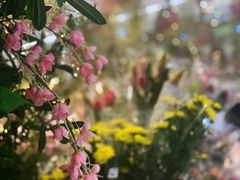 -义乌之心城市生活广场(新马路店)