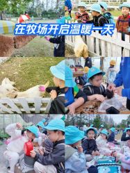 -前小桔亲子创意农场·草莓采摘·露营烧烤