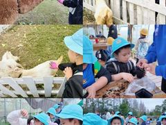 -前小桔亲子创意农场·草莓采摘·露营烧烤