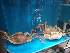 -蟹田居·活蟹料理(东城店)