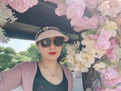 -上海鲜花港