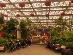 -南宫五洲植物乐园