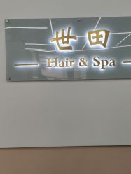 点击看大图 -世田造型