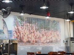 -华仔土鸡店(南洲分店)