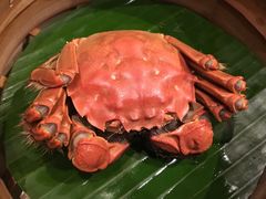 -新天世纪中餐厅