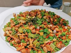 青花椒鲜炒鸡-青花椒花椒鱼(合生汇店)