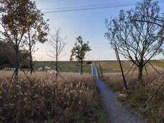 -佛手湖郊野公园