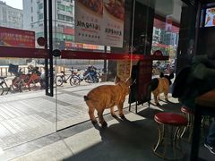 -猪角·闽南猪脚饭(文三路店)