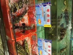 iphone_upload_pic-渔民新村(番禺总店)