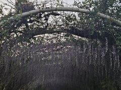 -同里国家湿地公园