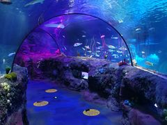 -沈阳海洋探索中心