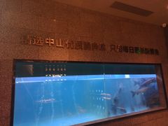 -淘米捞·米汤脆鲩鱼火锅(福田皇岗店)