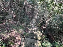 -杭州半山国家森林公园