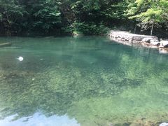 -白云源风景区