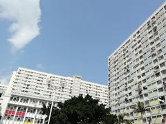 -彩虹村
